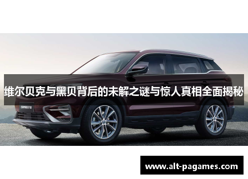 维尔贝克与黑贝背后的未解之谜与惊人真相全面揭秘