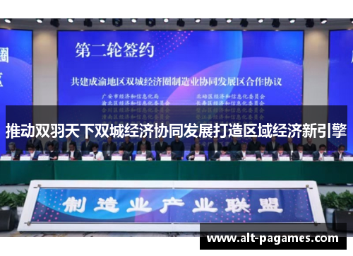 推动双羽天下双城经济协同发展打造区域经济新引擎 推动双羽天下双城经济协同发展打造区域经济新引擎